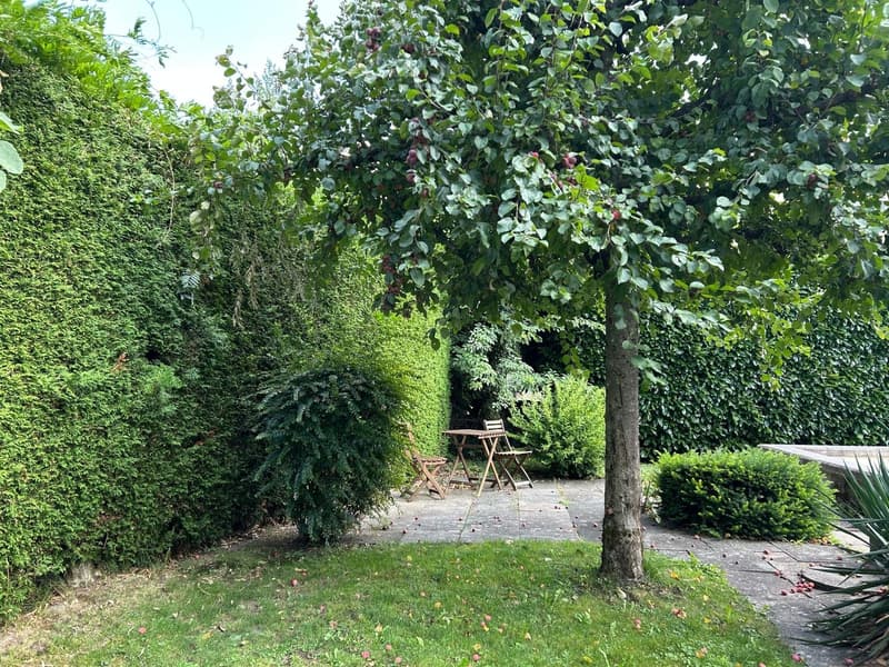 Appartamento centrale di 4 locali con giardino privato, lavatrice propria e attrezzature moderne con VISTA MOZZAFIATO SULLA MONTAGNA Animali domestici ammessi (8)