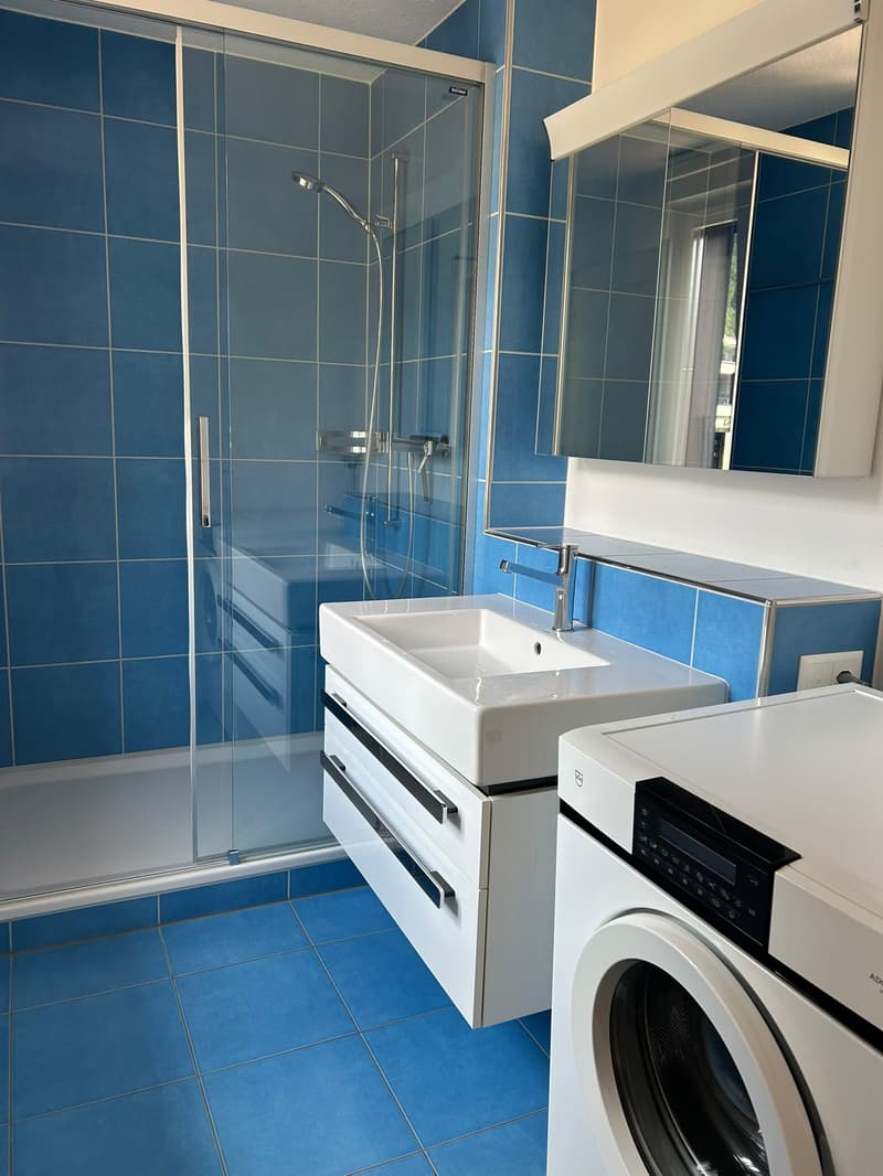Appartamento centrale di 4 locali con giardino privato, lavatrice propria e attrezzature moderne con VISTA MOZZAFIATO SULLA MONTAGNA Animali domestici ammessi (10)