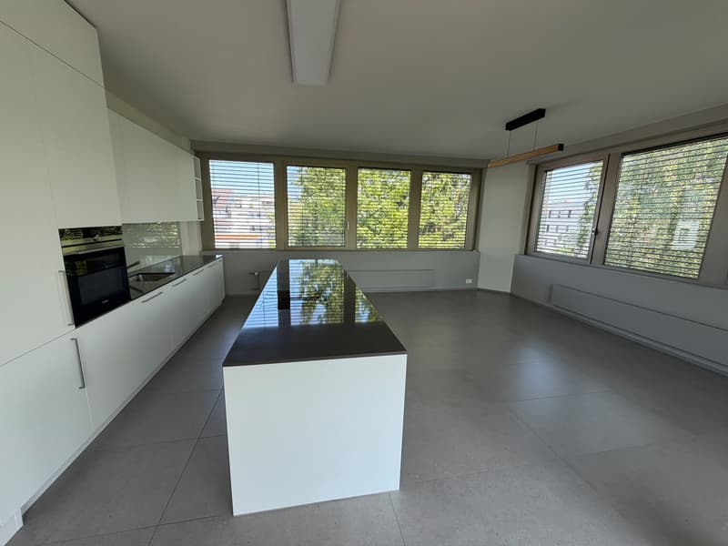 Appartamento luminoso e moderno di 4,5 locali (3)