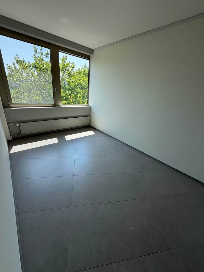 Appartamento luminoso e moderno di 4,5 locali (12)