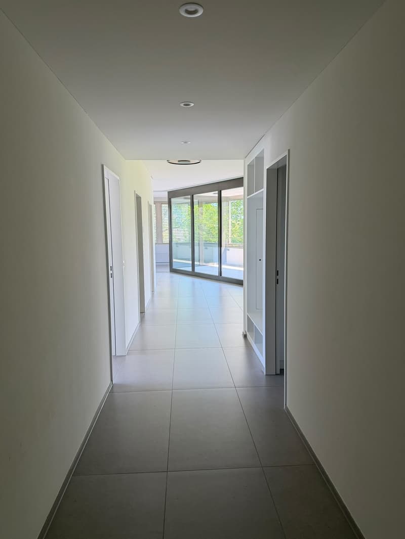 Appartamento luminoso e moderno di 4,5 locali (2)