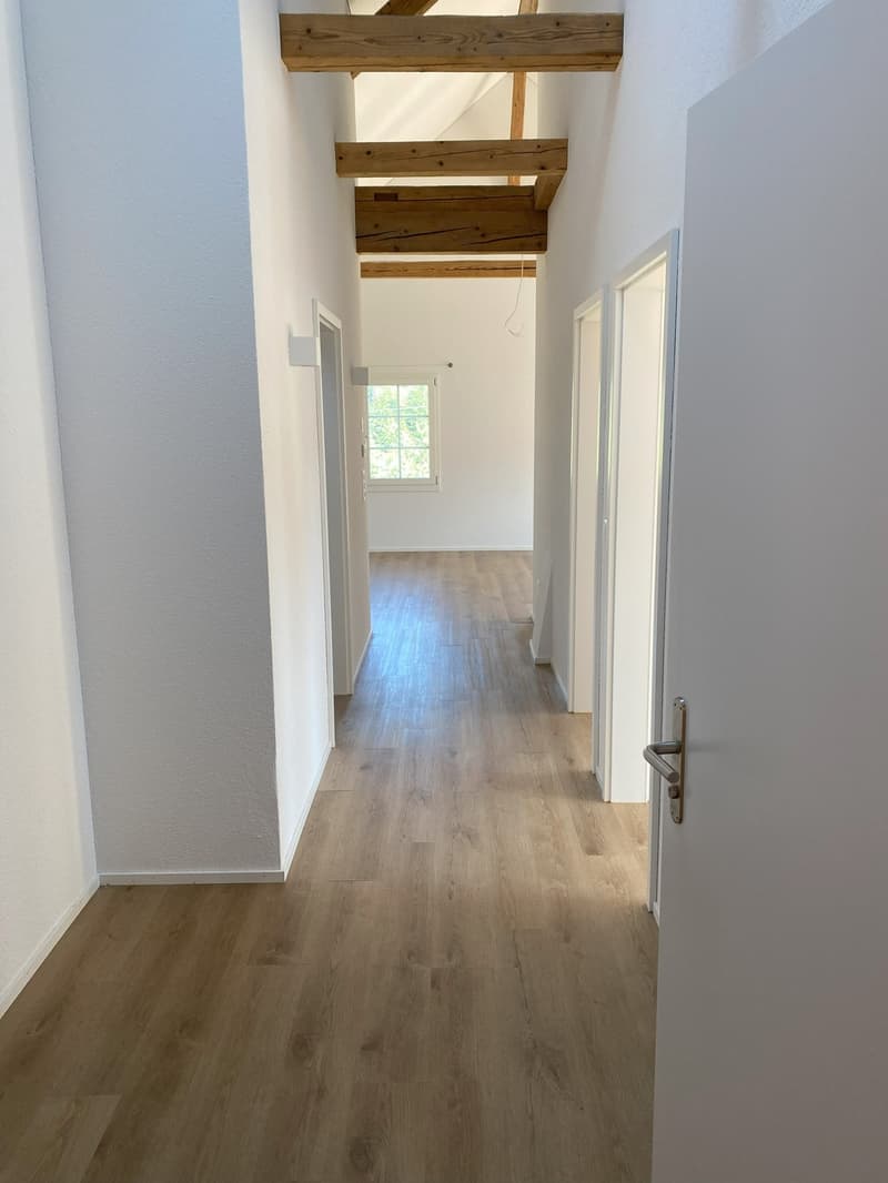 Appartement 3,5 pièces à la campagne (3)