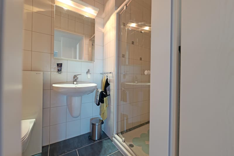 4.5-Room Duplex Apartment with Winter Garden (10)