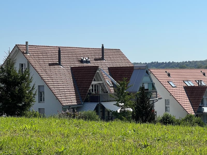 4.5-Room Duplex Apartment with Winter Garden (2)