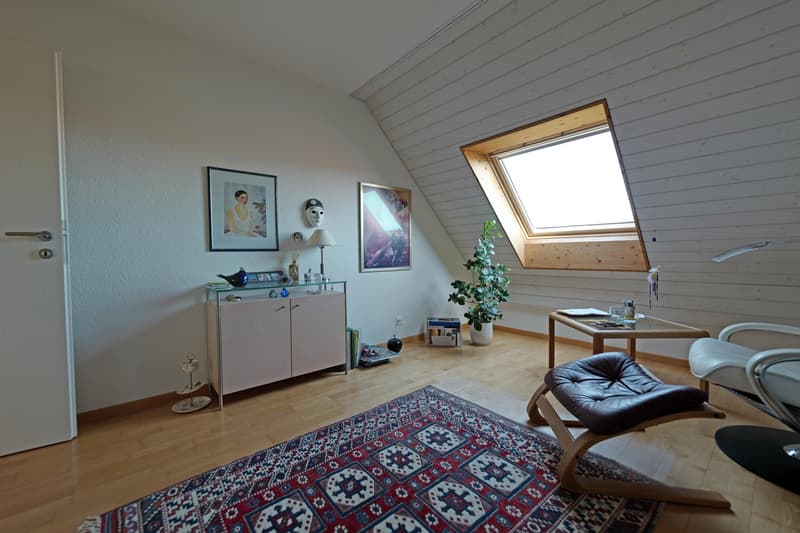 4.5-Room Duplex Apartment with Winter Garden (12)