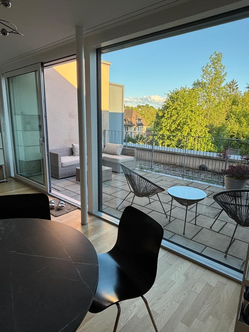 Modern furnished 2.5-room apartment in Zürich-Wollishofen (2)