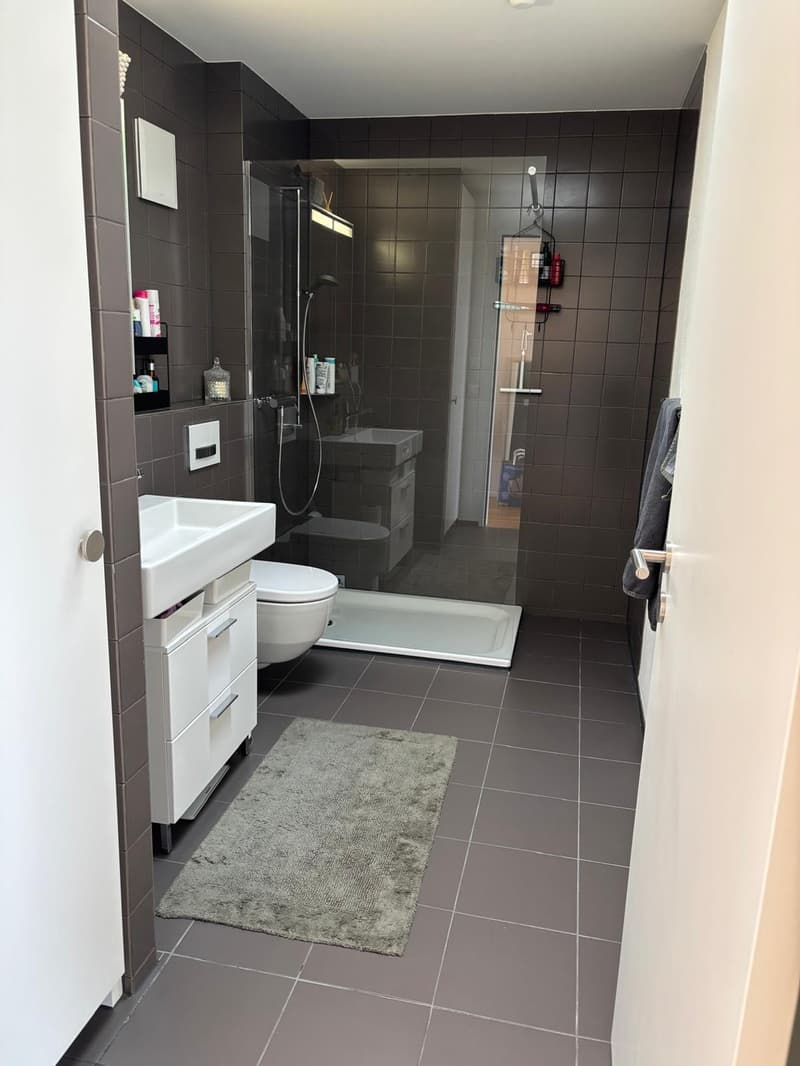 Modern furnished 2.5-room apartment in Zürich-Wollishofen (4)