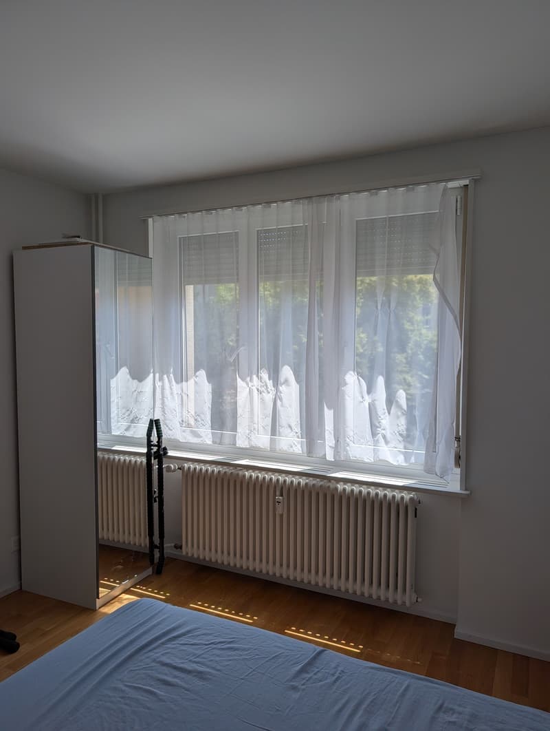 Beautiful modern apartment in Wipkingen (7)