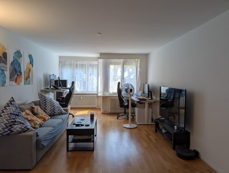 Beautiful modern apartment in Wipkingen (6)