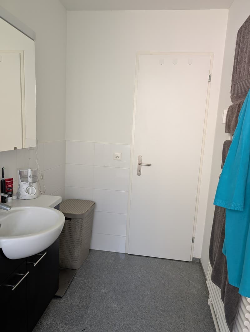 Beautiful modern apartment in Wipkingen (9)