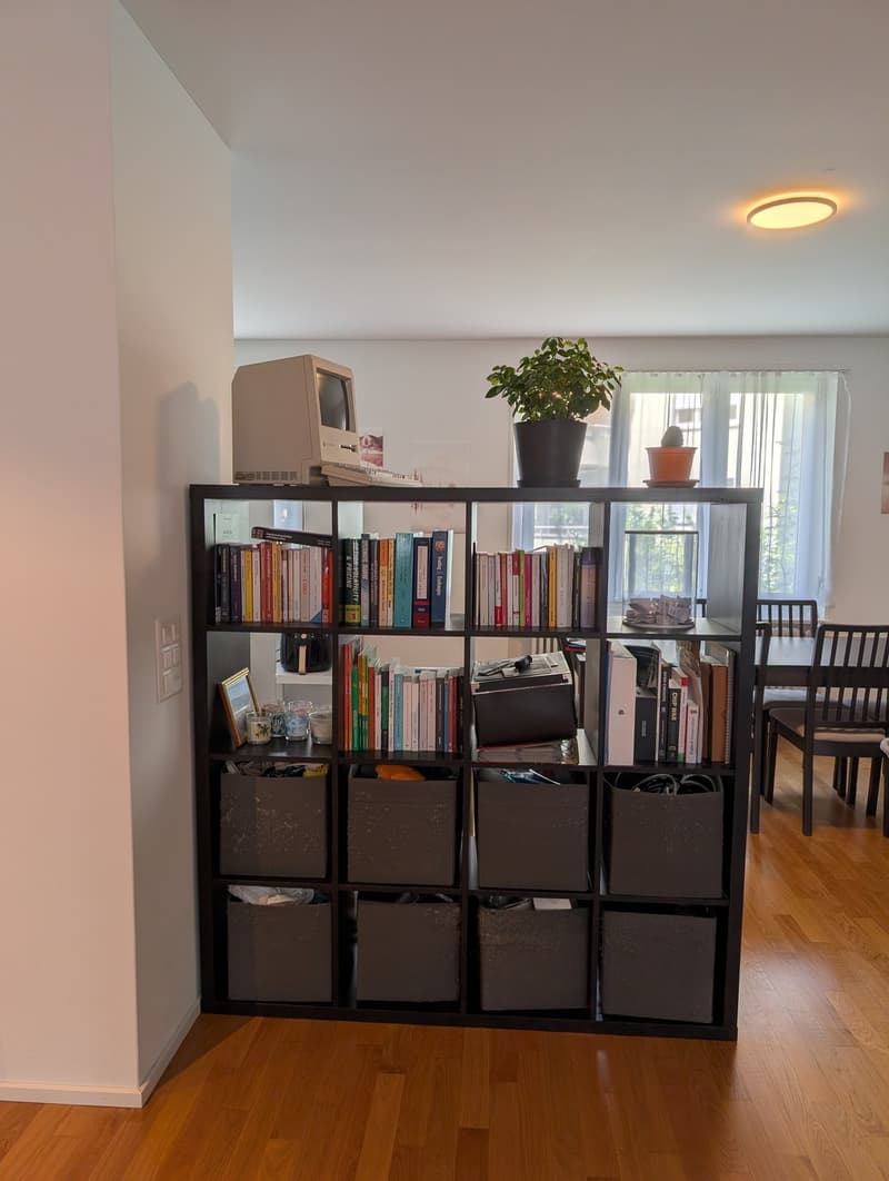 Beautiful modern apartment in Wipkingen (8)