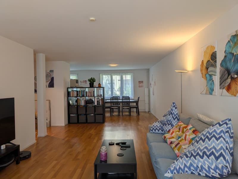 Beautiful modern apartment in Wipkingen (1)