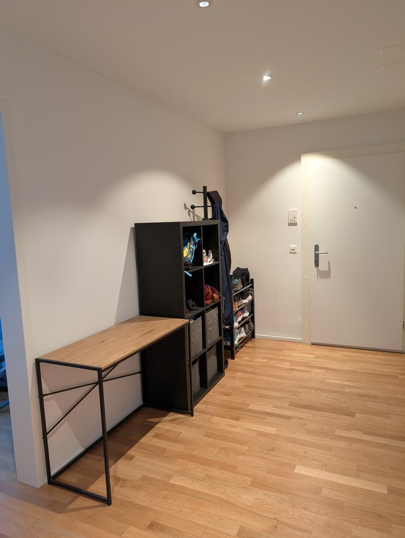 Beautiful modern apartment in Wipkingen (3)