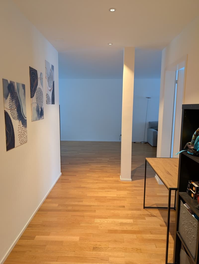 Beautiful modern apartment in Wipkingen (11)