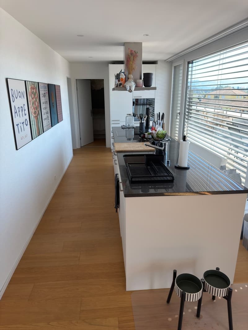 Nachmieter für wunderschöne 3.5 Zimmer-Attikawohnung gesucht (4)