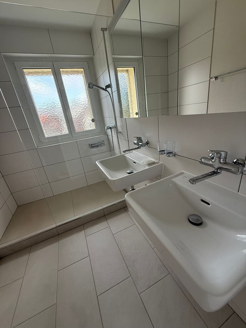 Ruhige, renovierte 3.5ZimmerWohnung mit Balkon im Grünen von Therwil (10)