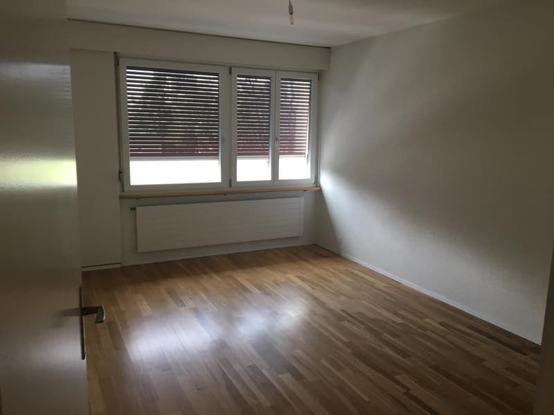 4.5 Zimmer Wohnung mit Dachterrasse (6)