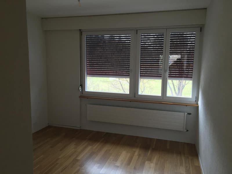 4.5 Zimmer Wohnung mit Dachterrasse (4)