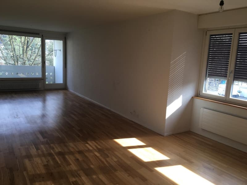 4.5 Zimmer Wohnung mit Dachterrasse (1)