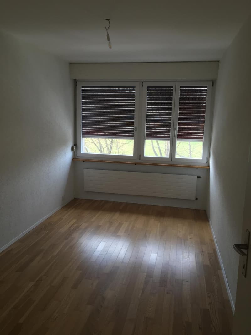 4.5 Zimmer Wohnung mit Dachterrasse (9)