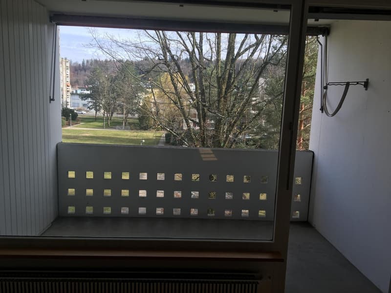 4.5 Zimmer Wohnung mit Dachterrasse (3)