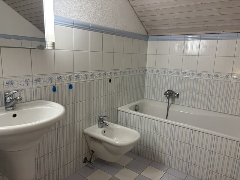 House with large garden/seat and separate hobby room (4)