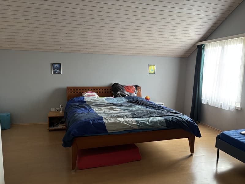 House with large garden/seat and separate hobby room (3)