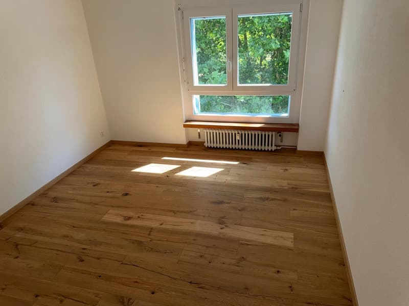 Attractive 3-room apartment in Langenthal with a view (3)