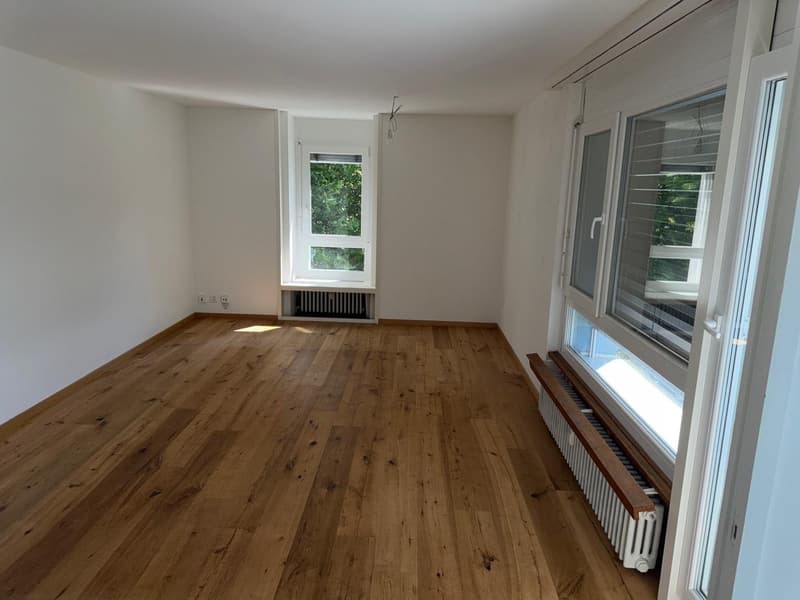 Attractive 3-room apartment in Langenthal with a view (1)