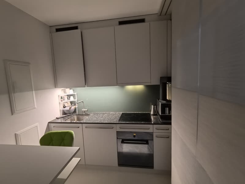 Appartement moderne de 1,5 pièces à seulement 450m de la gare principale de Zurich (disponible immédiatement) (4)