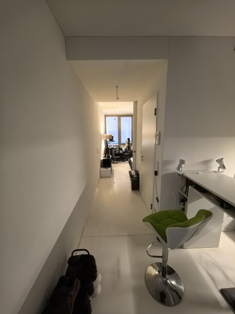 Appartement moderne de 1,5 pièces à seulement 450m de la gare principale de Zurich (disponible immédiatement) (1)