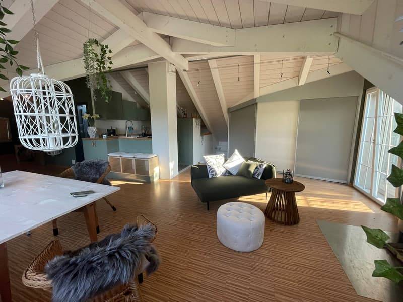 Unique loft paradise in 8340 Hinwil on a horse farm: Your power spot for a timeout (limited to 6 months) (4)