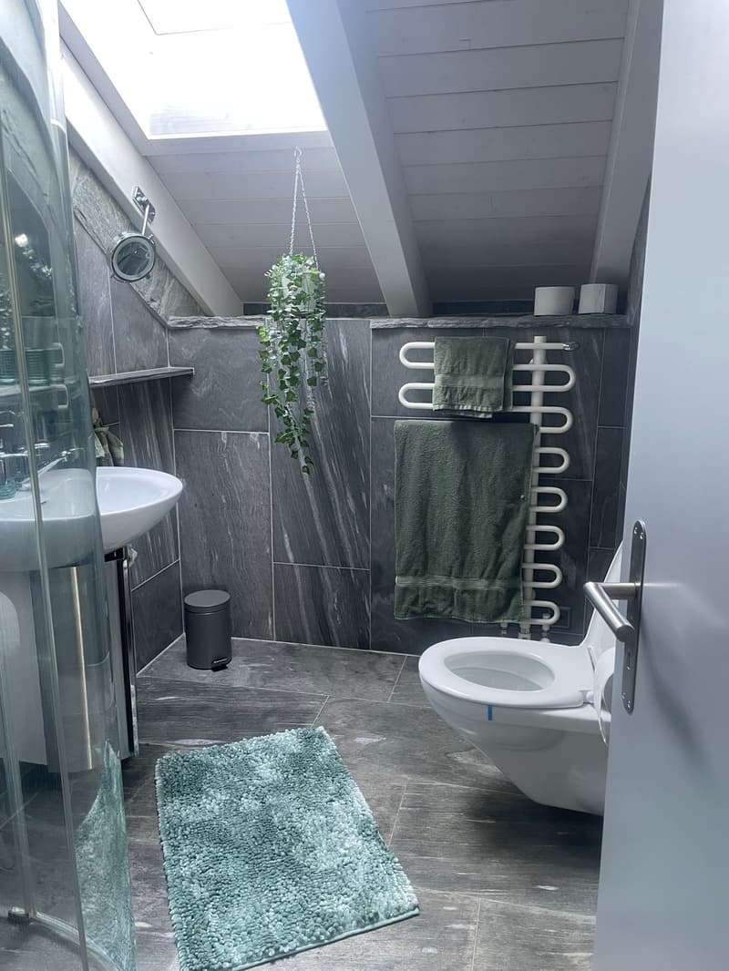 Unique loft paradise in 8340 Hinwil on a horse farm: Your power spot for a timeout (limited to 6 months) (10)
