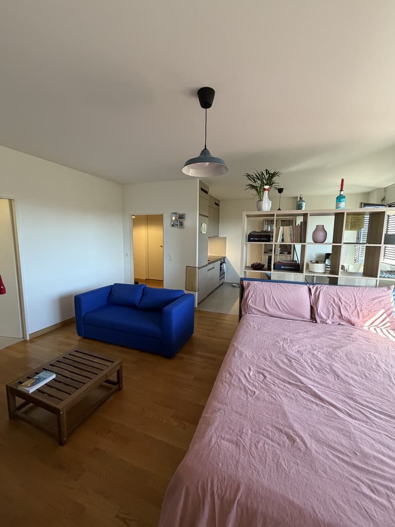 Apartment next Parc Bertrand (1)