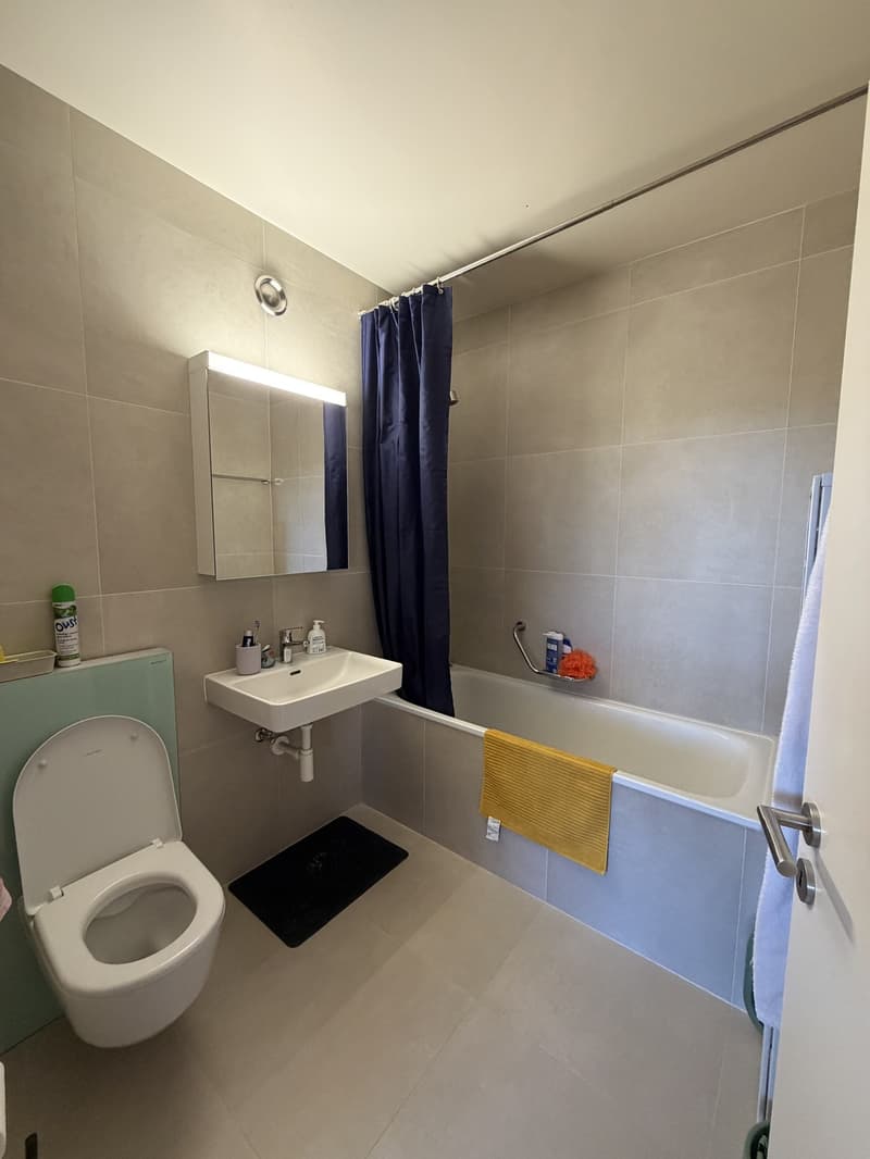 Apartment next Parc Bertrand (4)