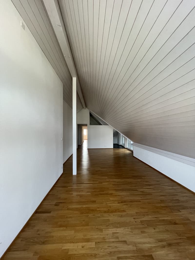 Moderne 4.5-Zimmer-Dachwohnung an sonniger und ruhiger Lage! (8)