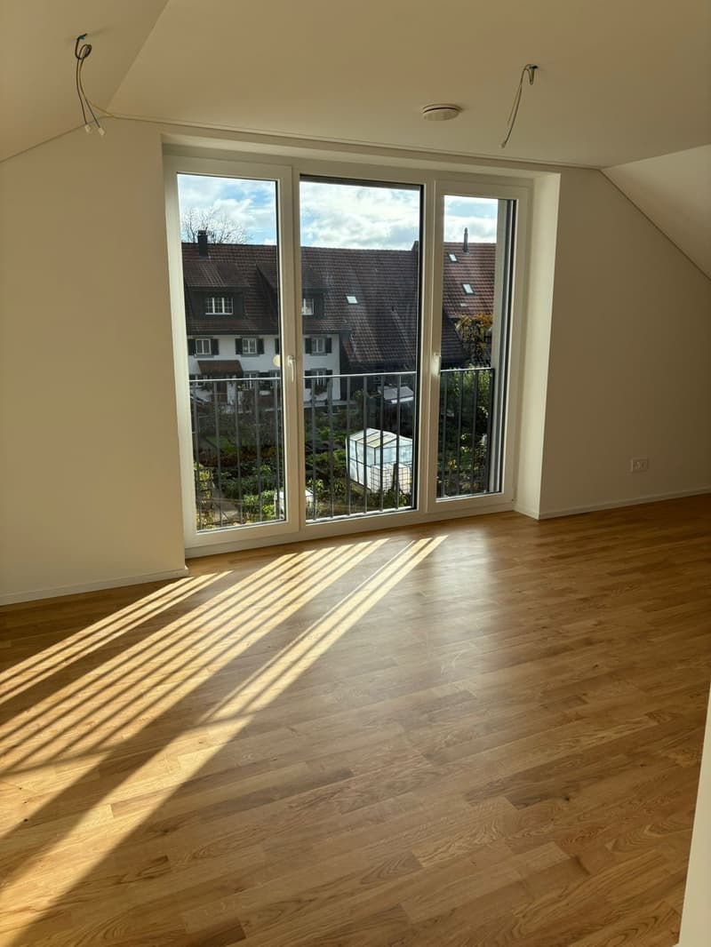 1.5-Zimmerwohnung kompakt, modern und lichtdurchflutet in Mülligen (4)