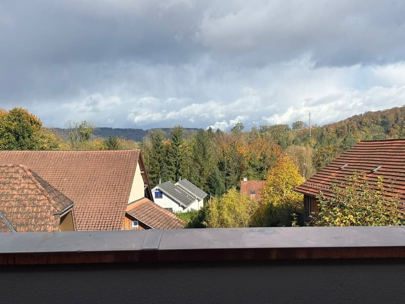 1.5-Zimmerwohnung modern, kompakt und mit Balkon in Mülligen (4)