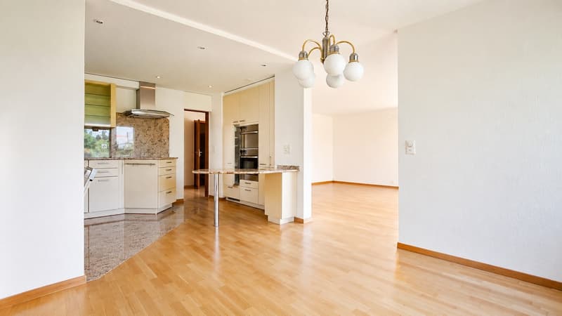 Maison individuelle de 4,5 pièces avec grand jardin (5)