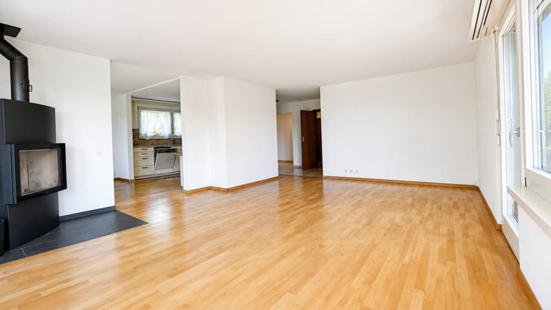 Maison individuelle de 4,5 pièces avec grand jardin (8)