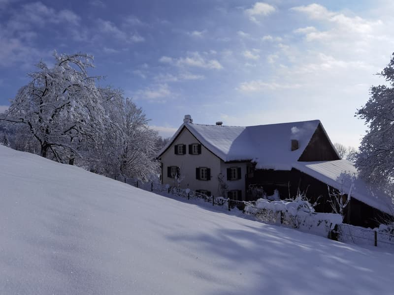 Maison de ferme dépendante, rénovée avec soin (2026) avec vue sur le lac (4)