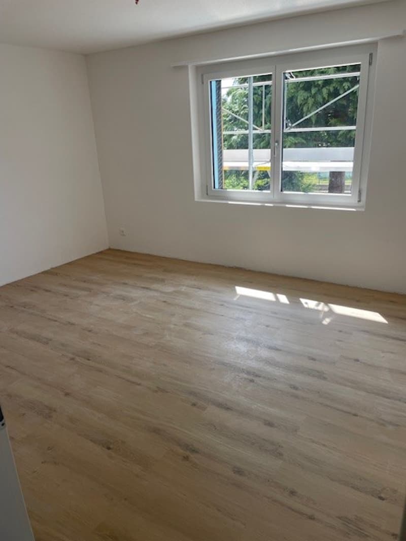 Erstvermietung neue 4.5 Zimmerwohnungen mit Balkon in totalrenoviertem Haus (6)
