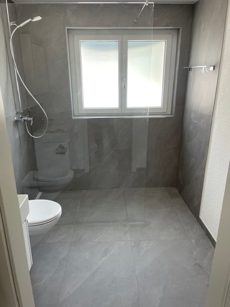 Erstvermietung neue 4.5 Zimmerwohnungen mit Balkon in totalrenoviertem Haus (9)