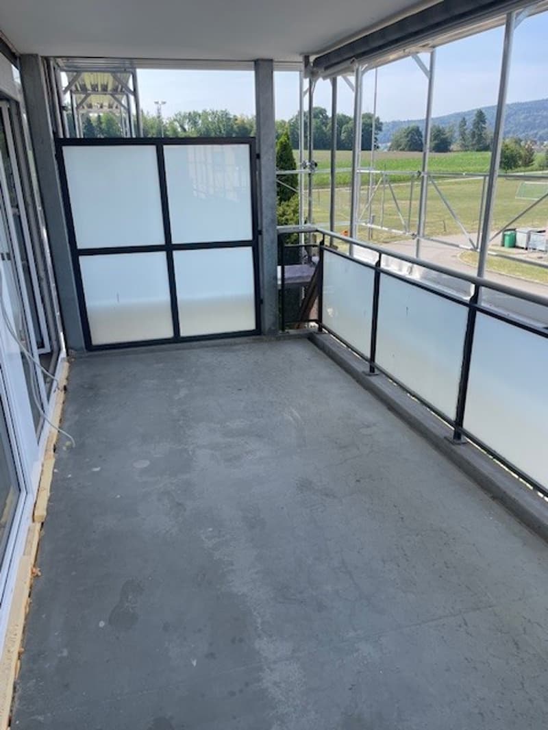 Erstvermietung neue 4.5 Zimmerwohnungen mit Balkon in totalrenoviertem Haus (11)
