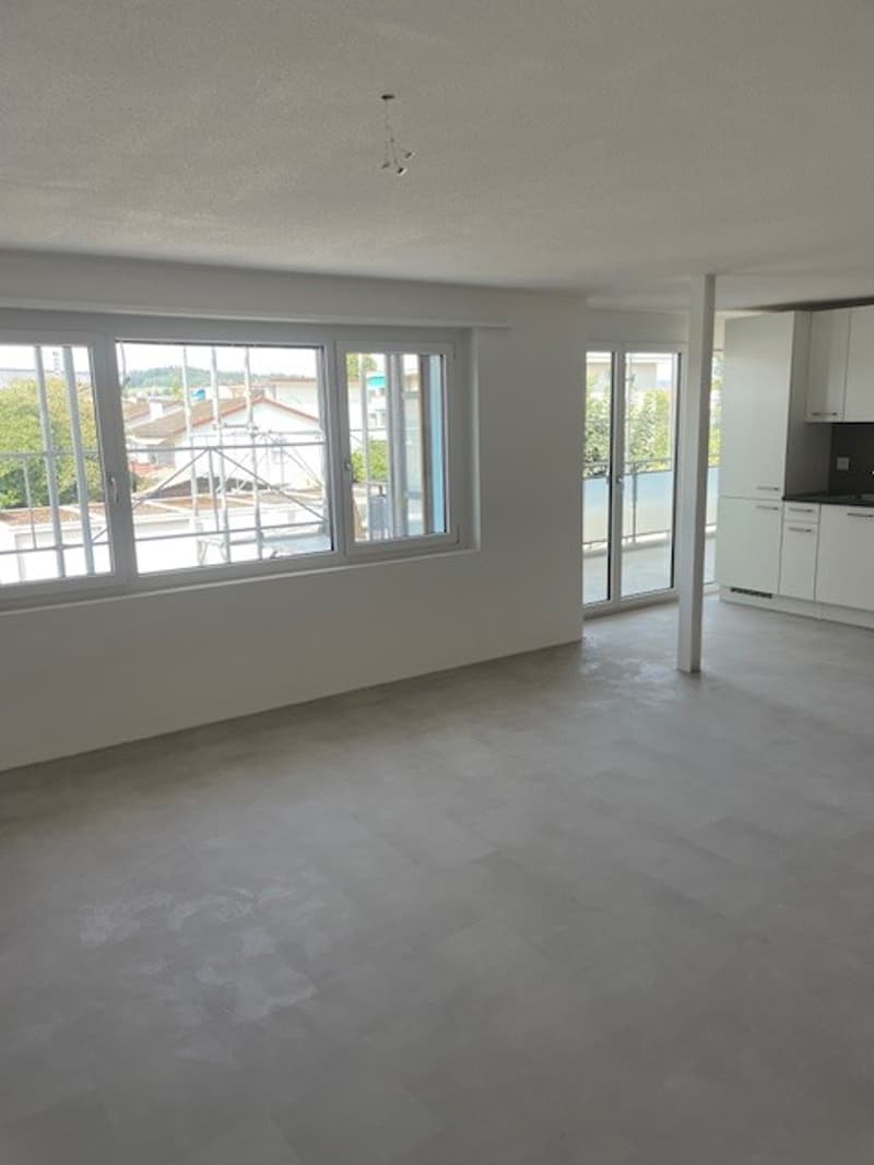 Erstvermietung neue 4.5 Zimmerwohnungen mit Balkon in totalrenoviertem Haus (5)
