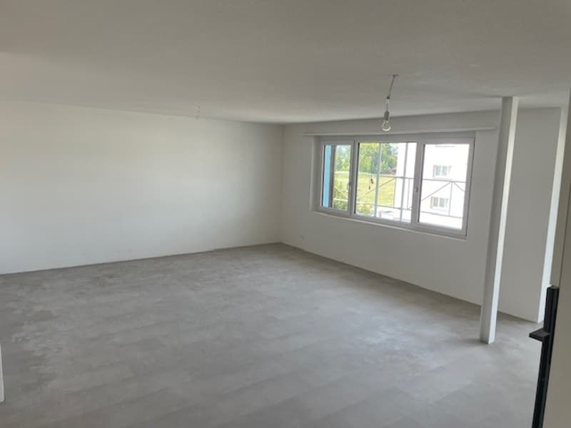 Erstvermietung neue 4.5 Zimmerwohnungen mit Balkon in totalrenoviertem Haus (4)