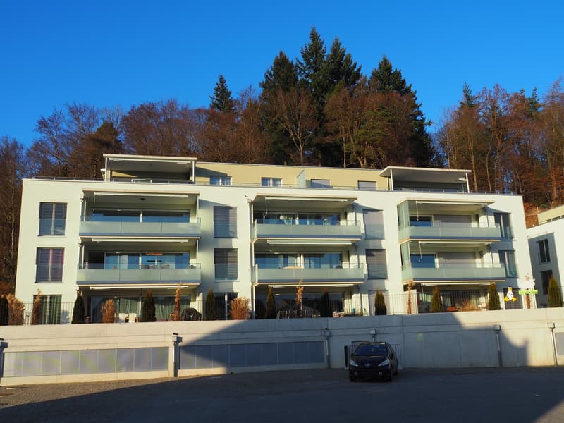 3 ½ Zimmer-Attikawohnung, 3613 Steffisburg (1)