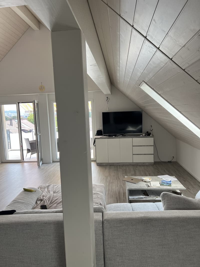 Neubau Loft Mieten in Zürich/Dällikon (1)