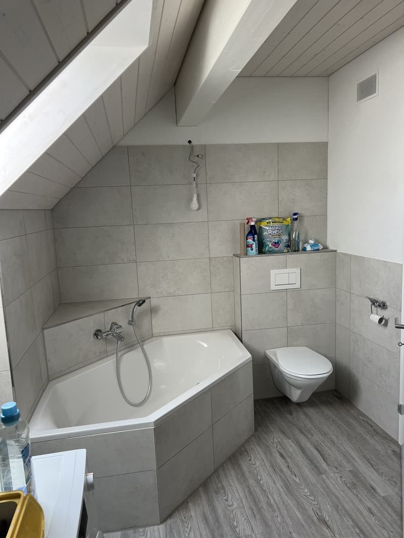 Neubau Loft Mieten in Zürich/Dällikon (6)