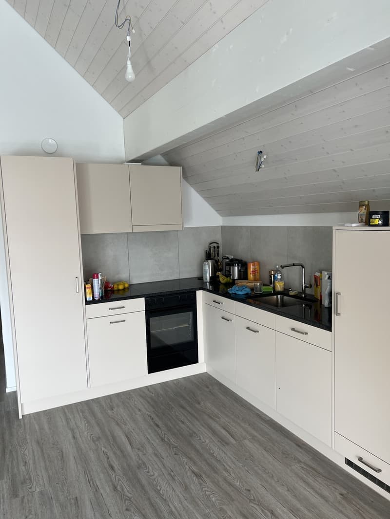 Neubau Loft Mieten in Zürich/Dällikon (4)